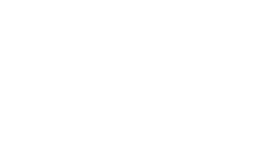 The Lion's Box A.S.D.
